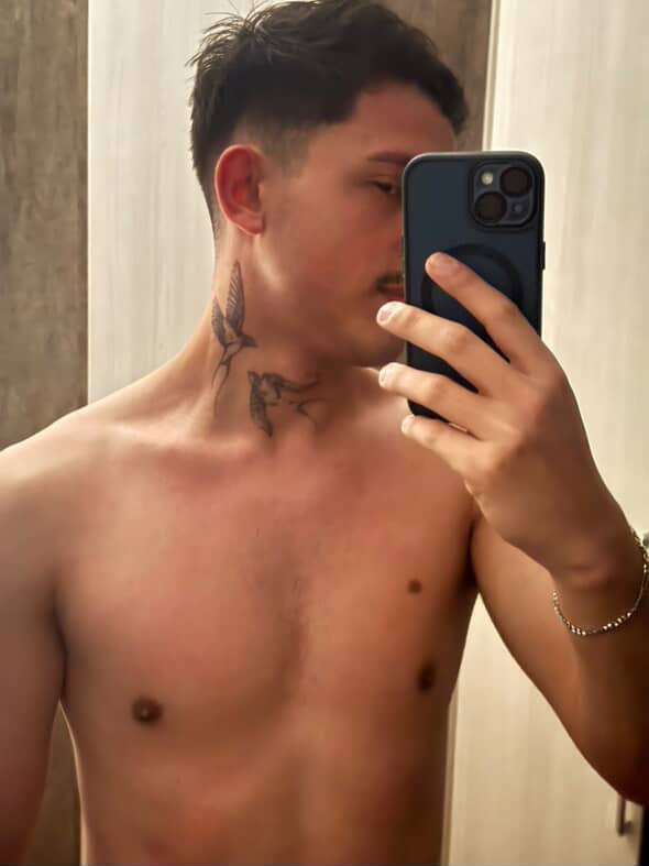 (6 unidades) Kit Pássaros Semi-Permanente