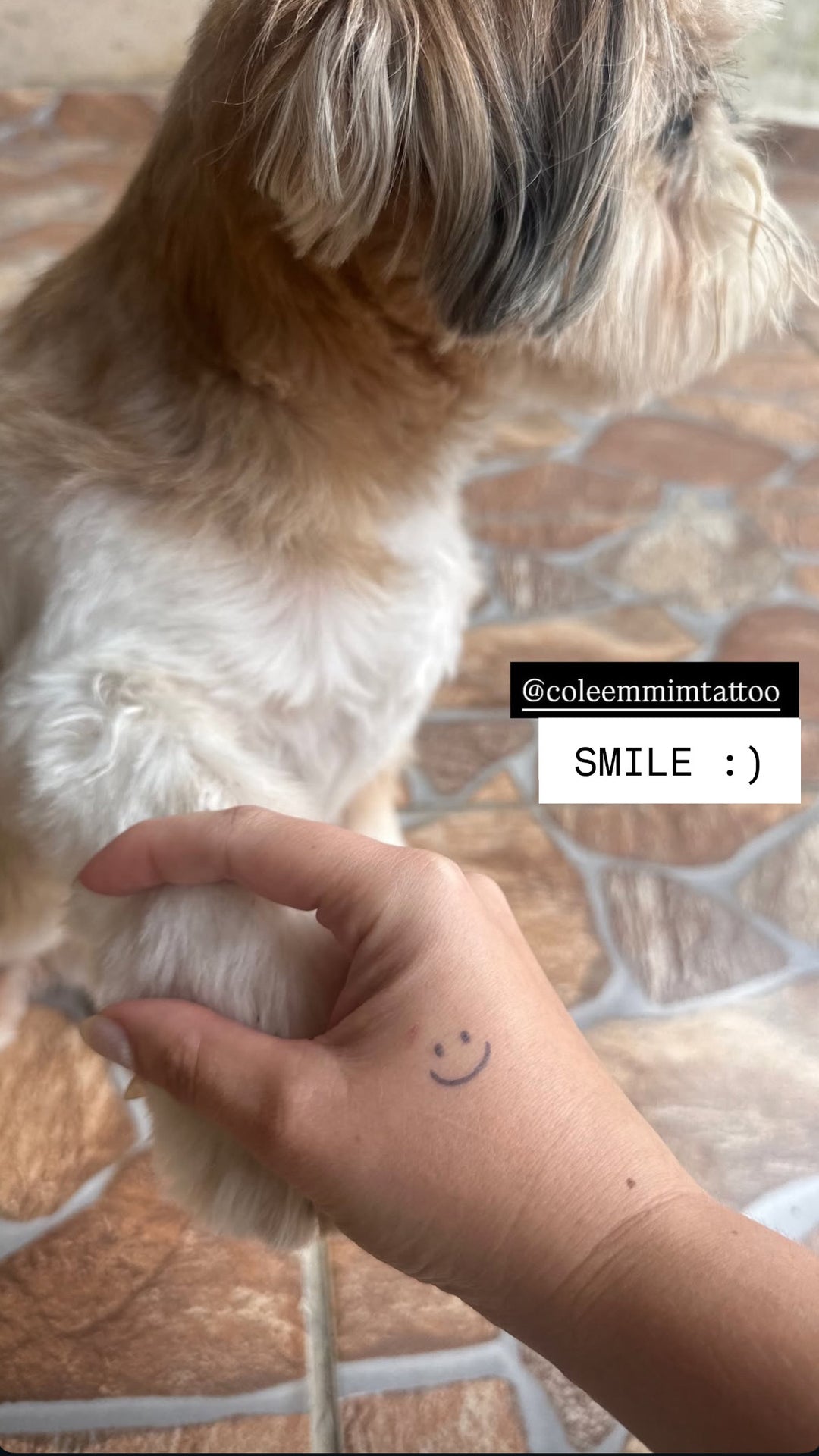 tatuagem semipermanente smile - foto 2