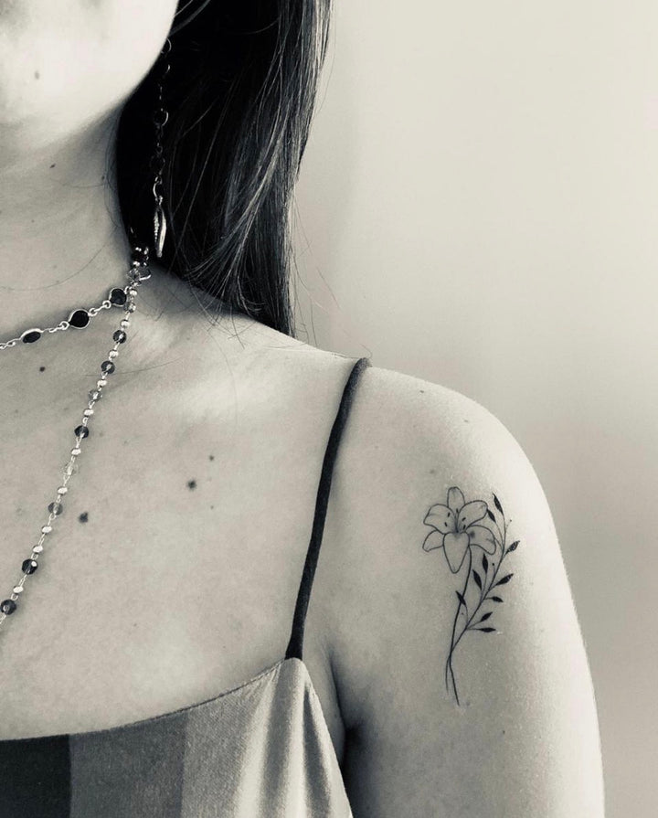 Lírio Semi-Permanente