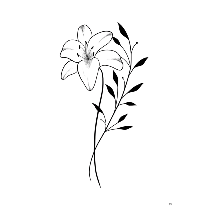 Lírio Semi-Permanente