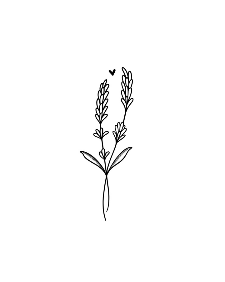 Lavanda Semi-Permanente