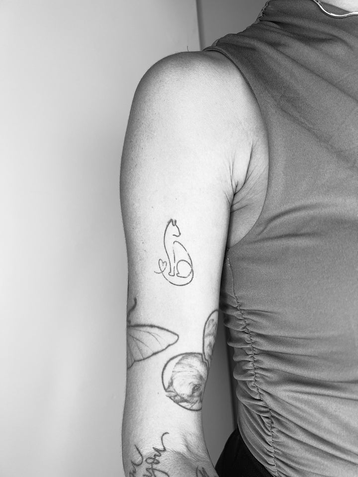 [APENAS AQUI] (4 unidades) Kit Pets Semi-Permanente