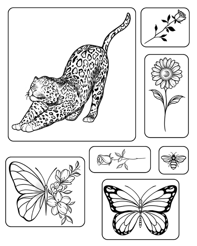 Essência da Natureza