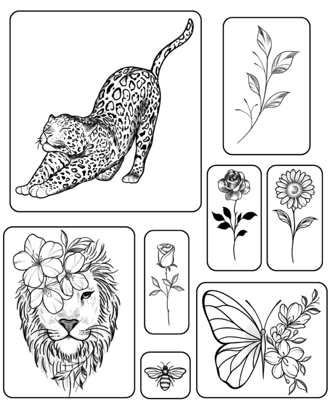 Kit Natureza 4