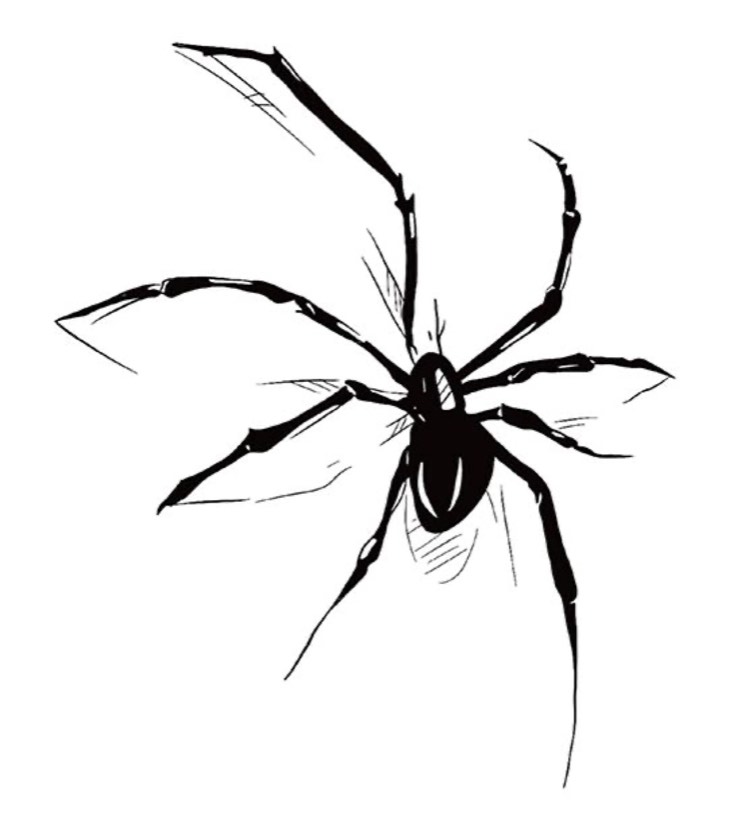 Aranha