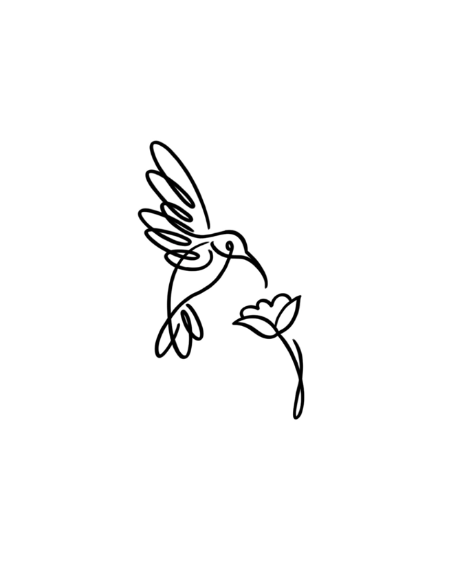 Beija-flor em linhas