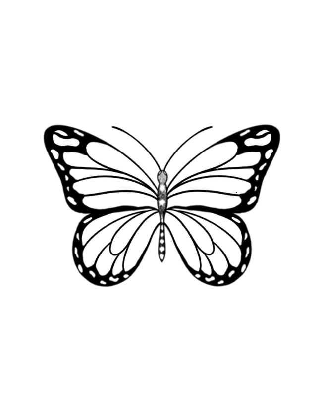 Borboleta Pintada
