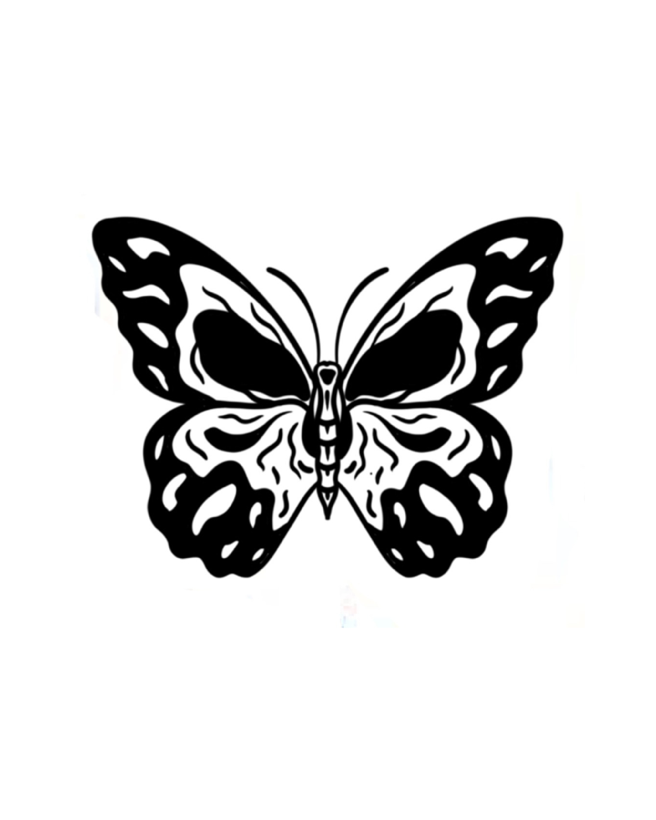 Borboleta Skull