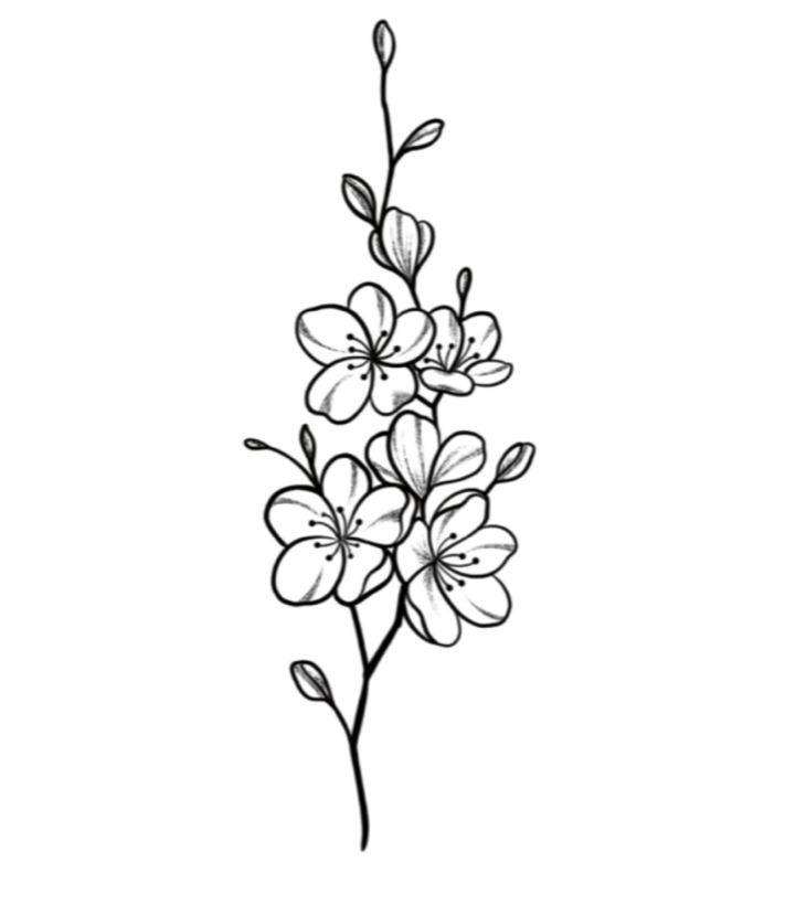 Cerejeira
