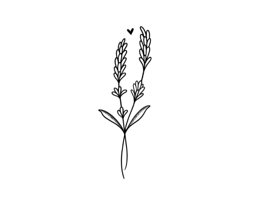 Lavanda
