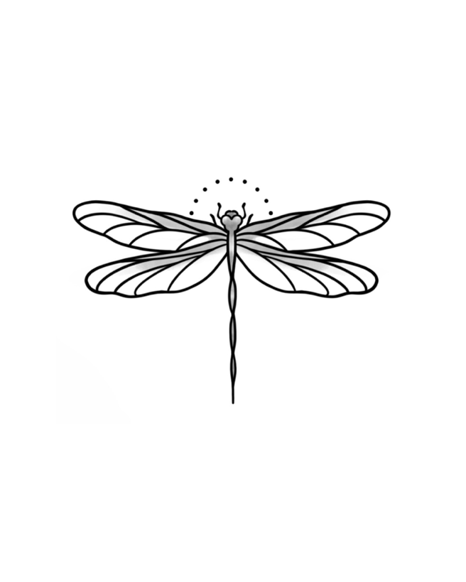 Libélula