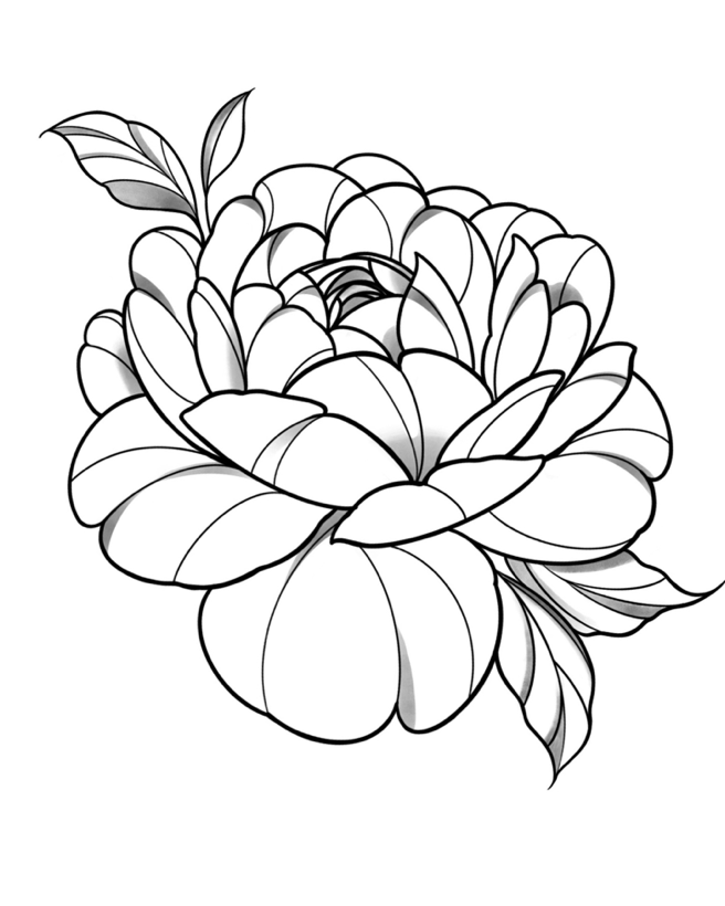 ⁠⁠Peônia Flor
