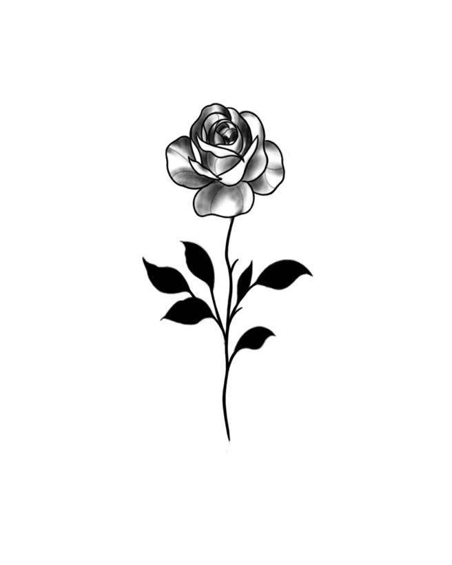 Rosinha