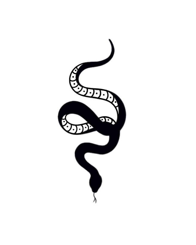 Serpente Negra